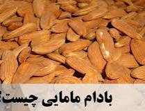 بادام مامایی مرغوب + خرید به صرفه